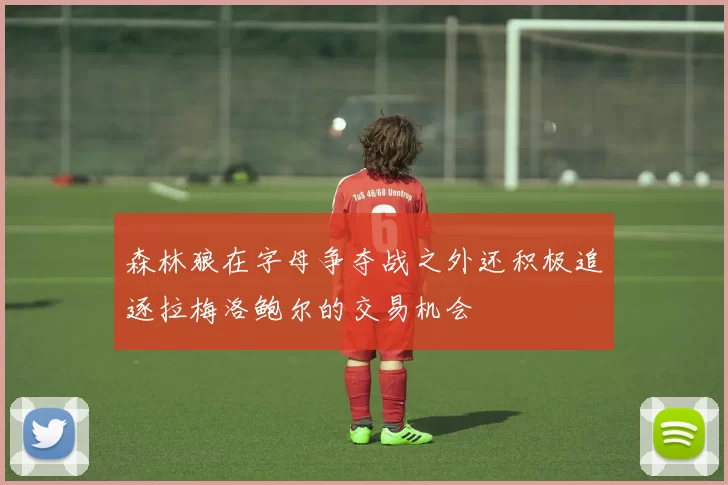 森林狼在字母争夺战之外还积极追逐拉梅洛鲍尔的交易机会